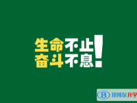 2020年贵阳中考报名平台