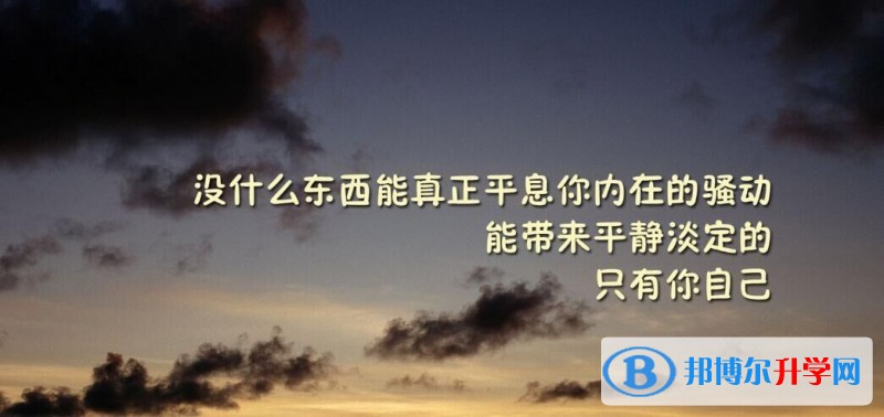 2020年内江中考各科高频考点