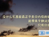 2020年内江中考各科高频考点