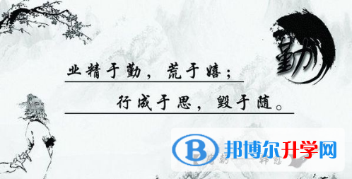 2020年内江中考秘籍