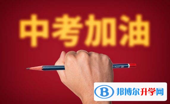 2020年乐山中考网络应用服务平台成绩查询