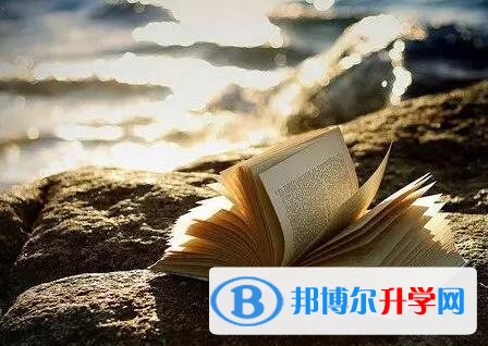 2020年乐山中考上的学校