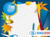 2020年乐山各个学校中考录取线