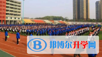 北师大株洲附属学校国际部网站网址