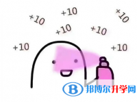 2020年玉溪中考的统招和调剂说明