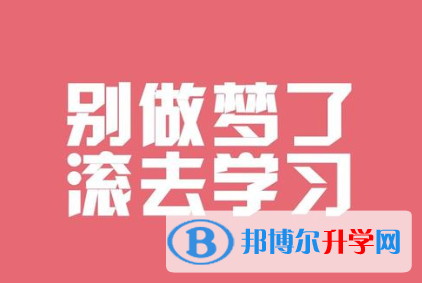  2020年玉溪中考372可以读的学校