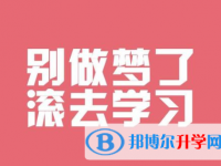 2020年玉溪中考372可以读的学校