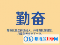 2021年楚雄中考没有考上怎么办