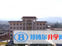 2021年文山中考上的学校