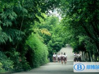 重庆永川景圣中学校网站网址主页