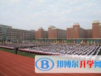 绵阳市东辰国际学校网站网址