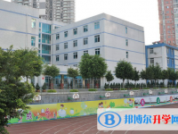 攀枝花市实验学校网站网址主页