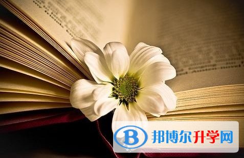 2021年汉中中考报名号