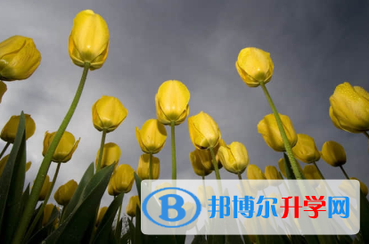 秦皇岛2021年中考成绩什么时候出来