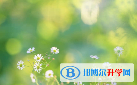 秦皇岛2021年中考成绩怎么算