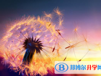 成都2021年中考如果未被录取怎么办