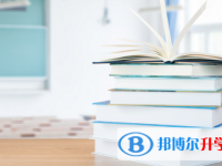 攀枝花2021年中考成绩一般读什么学校