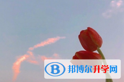 攀枝花2021年中考招生网络应用服务平台