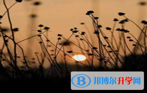 攀枝花2021年还有一天中考怎么办