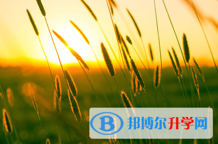 攀枝花2021年中考调剂志愿是什么意思