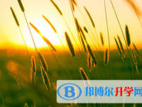 攀枝花2021年中考调剂志愿是什么意思