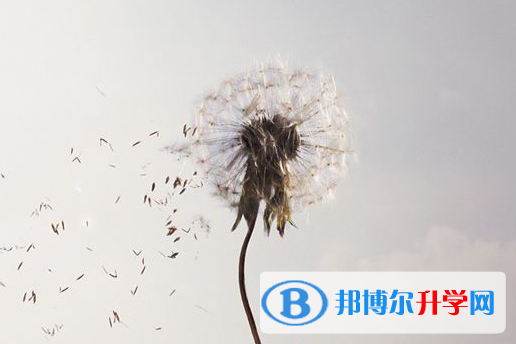 德阳2021年中考录取办法