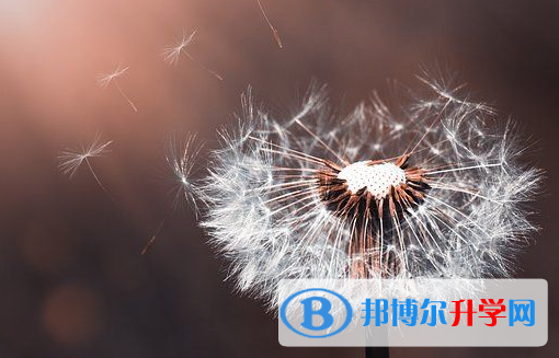 德阳2021年中考网录取系统