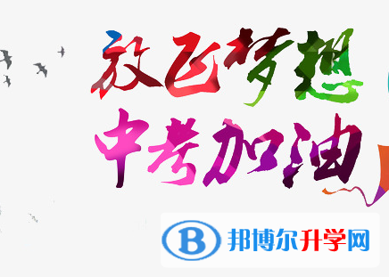 宜宾2022年怎样查询中考成绩