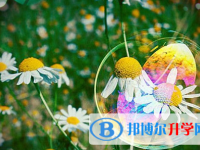 达州2022年中考成绩什么时候公布