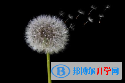 巴中2022年中考推荐生自荐信