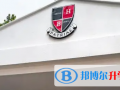 深圳哈博学校2023年招生政策