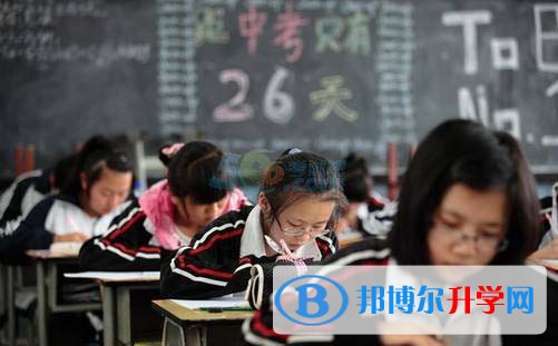 资阳2022年中考成绩一般读什么学校