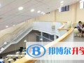 上海金山杭州湾双语学校2023年入学条件