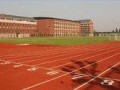 上海格致中学国际部黄浦校区2023年课程体系