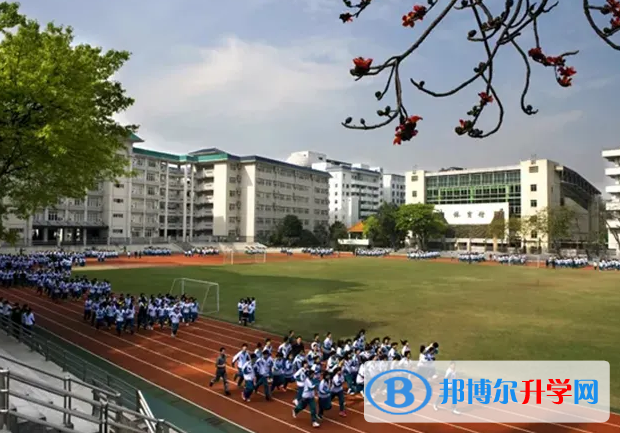 广州第六中学国际部2023年课程体系