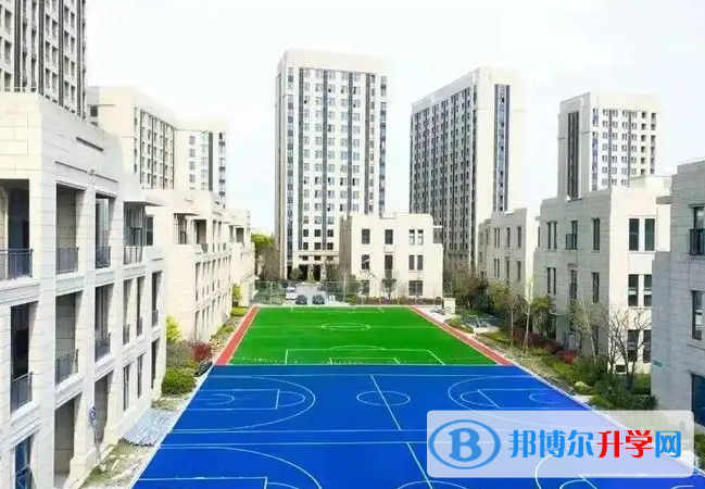 青之藤国际学校怎么样