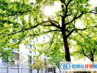 南京师范大学附属扬子中学怎么样、好不好