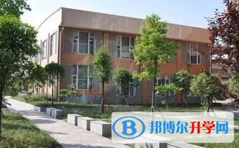 重庆市第二十九中学校招生简章2024年