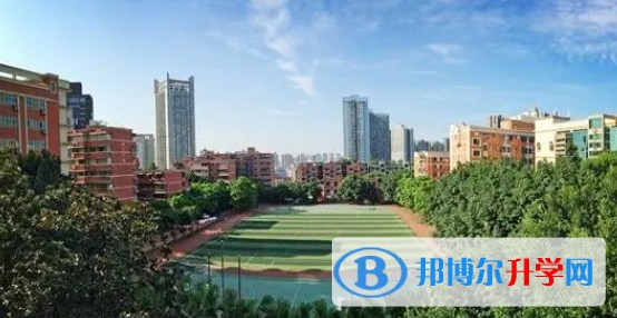 2024重庆市实验外国语学校招生计划 招生人数是多少(附要求、条件、对象)