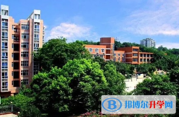 2024重庆市朝阳中学校招生计划 招生人数是多少(附要求、条件、对象)