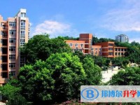 2024重庆市朝阳中学校招生计划 招生人数是多少(附要求、条件、对象)
