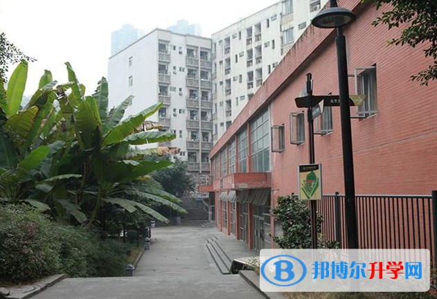 重庆市南开融侨中学校怎么样、好不好