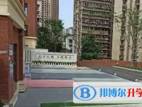 重庆市第十一中学校招生简章2024年