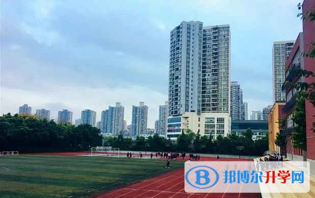 2024重庆市松树桥中学校招生计划 招生人数是多少(附要求、条件、对象)