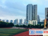 2024重庆市松树桥中学校招生计划 招生人数是多少(附要求、条件、对象)