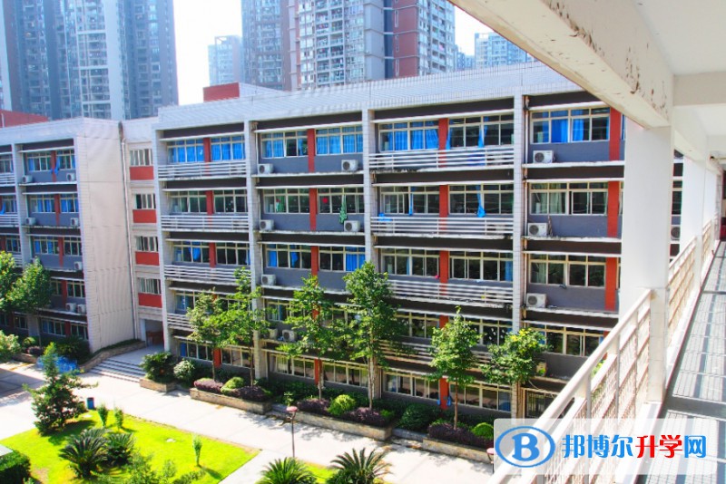 2024重庆市北新巴蜀中学校招生计划 招生人数是多少(附要求、条件、对象)