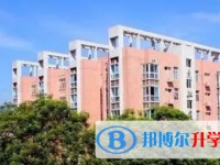 2024重庆市文理学院附属中学校招生计划 招生人数是多少(附要求、条件、对象)