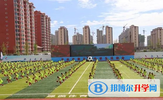 2024新乐新伏羲中学招生计划 招生人数是多少(附要求、条件、对象)