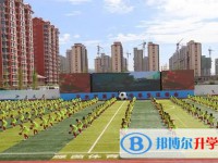 2024新乐新伏羲中学招生计划 招生人数是多少(附要求、条件、对象)