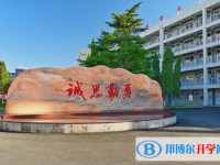 2024武安市第十中学多少钱(学费明细)